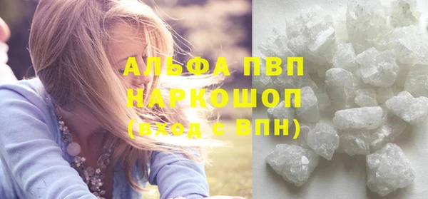 прущие грибы Арсеньев