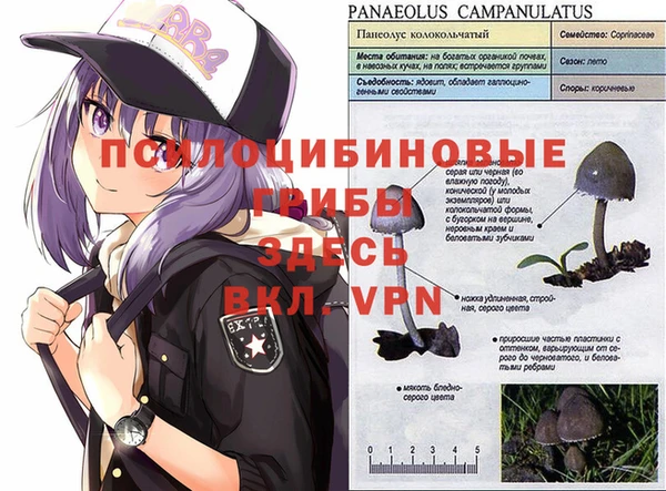 дживик Балабаново