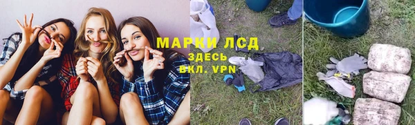 прущие грибы Арсеньев