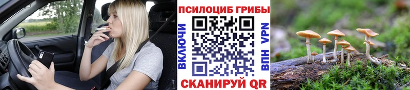 Псилоцибиновые грибы мицелий Плавск